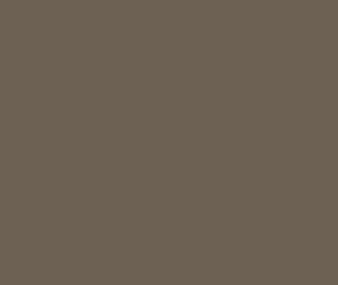 Standard Steel COLORBOND®  Jasper®
