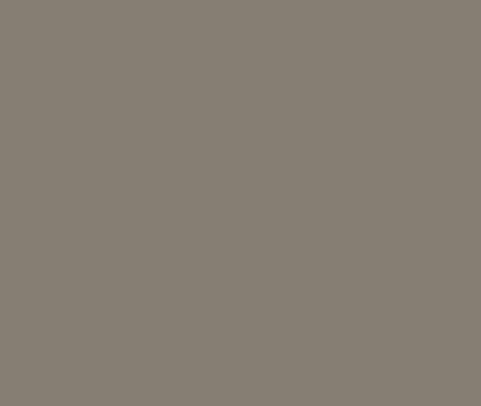 Standard Steel COLORBOND®  Gully™